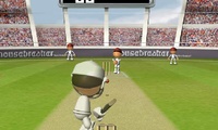 Jeu de cricket